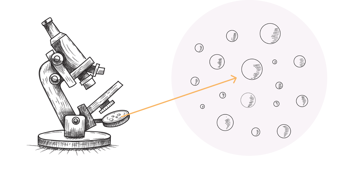papillomavirus (hpv) icone