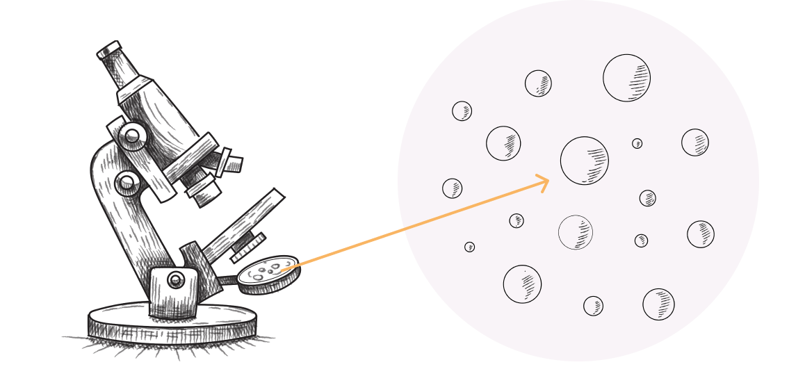 papillomavirus (hpv) icone